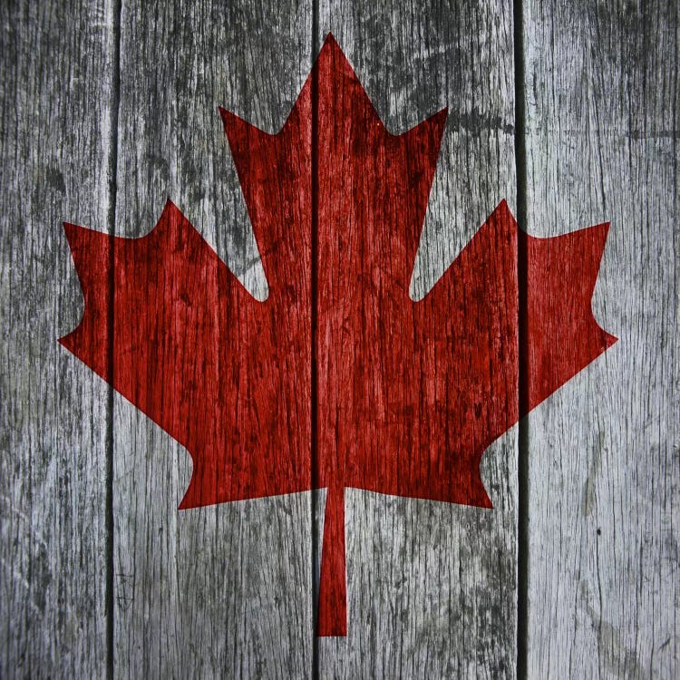 Canadian Flag Red Maple Leaf by Unknown Artist wall art