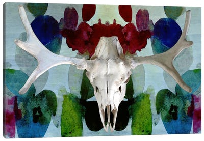 Moose Skull #3 Canvas Art Print - Fantasy, Horror & Sci-Fi Art