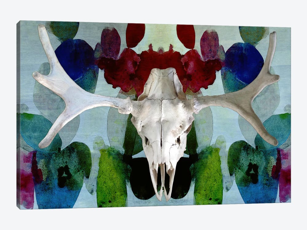Moose Skull #3 by Unknown Artist 1-piece Canvas Print