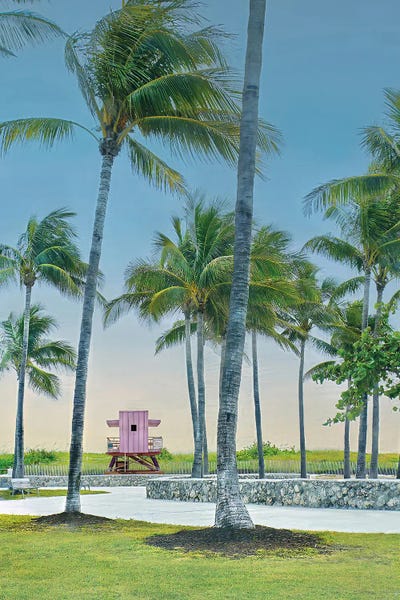 Violet - Canvas Prints: Pink Oasis by Catch A Star Fine Art