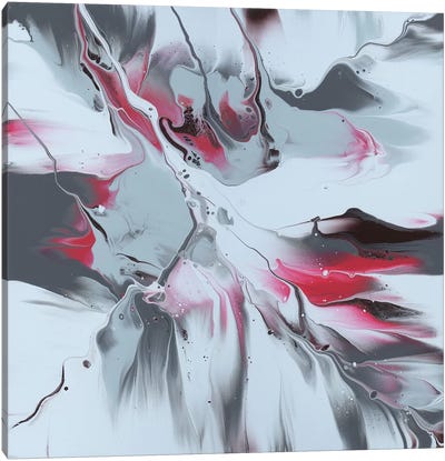 Shades Of Gray Canvas Art Print - Gray & Pink Art