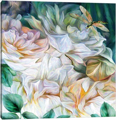 Dragonfly On Roses Canvas Art Print - Carol Cavalaris