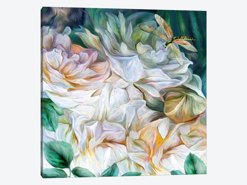Dragonfly On Roses by Carol Cavalaris 1-piece Canvas Print