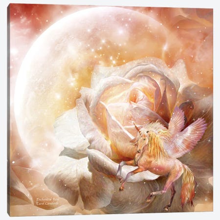 Enchanted Rose Canvas Print #CAV15} by Carol Cavalaris Canvas Wall Art