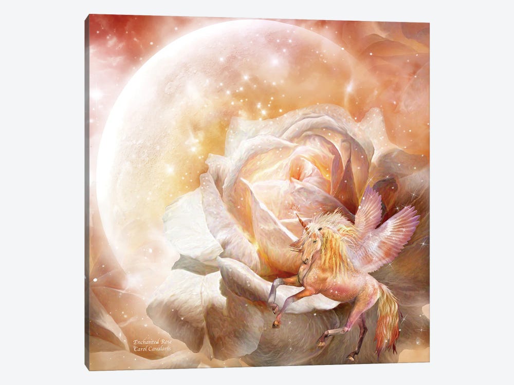Enchanted Rose by Carol Cavalaris 1-piece Canvas Artwork