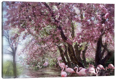 Flamingo Lagoon Canvas Art Print - Carol Cavalaris