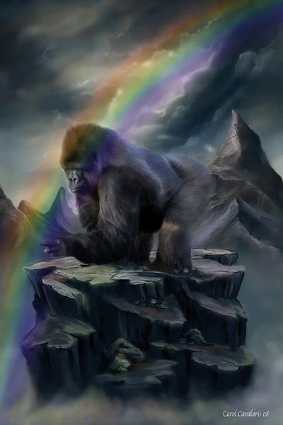 Gorillas: A Place To Dream by Carol Cavalaris