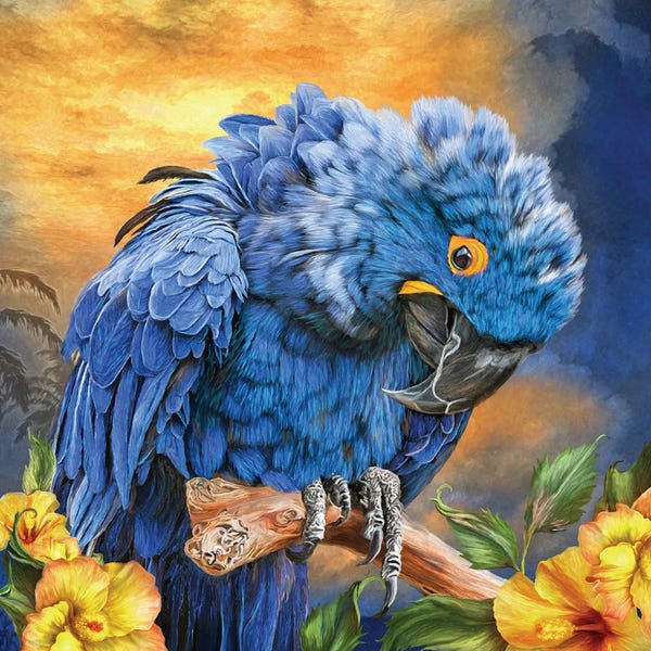 Parrots: Hyacinth In The Hibiscus by Carol Cavalaris