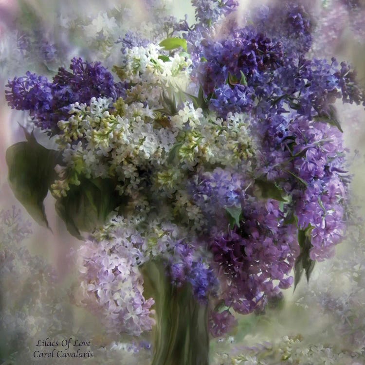 Lilacs Of Love by Carol Cavalaris wall art