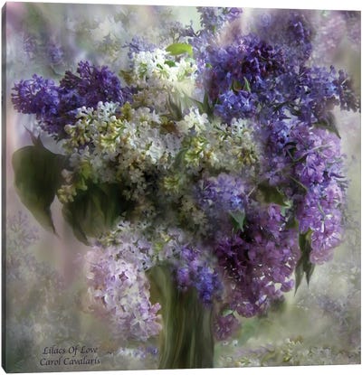Lilacs Of Love Canvas Art Print - Carol Cavalaris