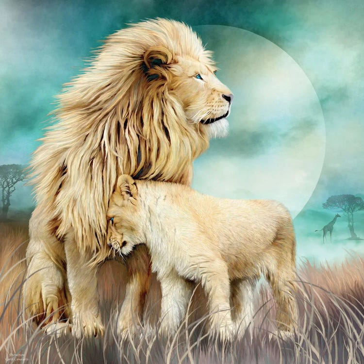 Lion Family - Protection