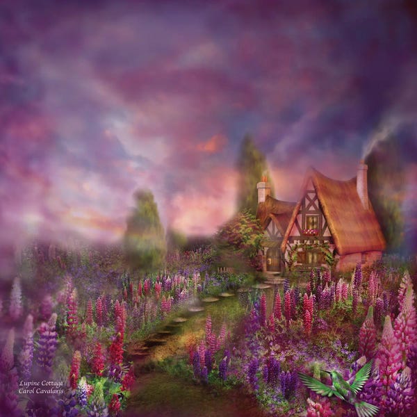 Hummingbirds: Lupine Cottage by Carol Cavalaris