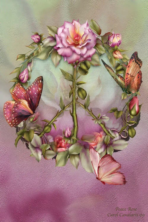 Peace Rose by Carol Cavalaris wall art