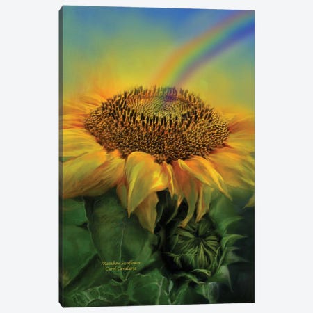 Rainbow Sunflower Canvas Print #CAV30} by Carol Cavalaris Art Print
