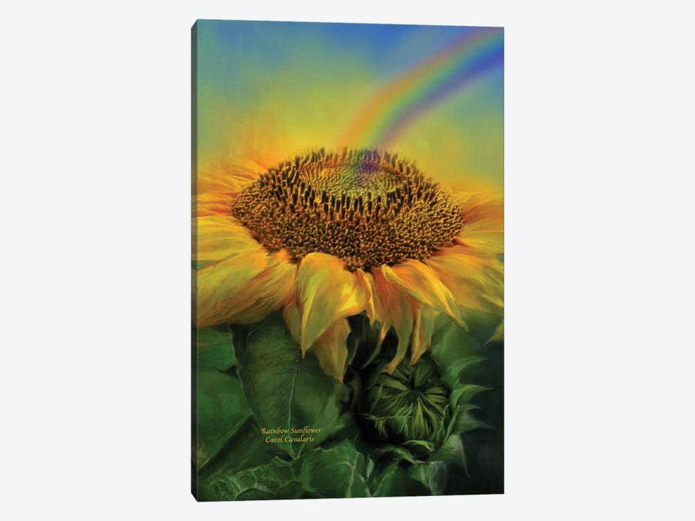 Rainbow Sunflower by Carol Cavalaris 1-piece Art Print