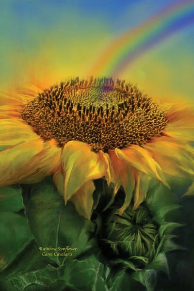 Fine Art Print: Rainbow Sunflower by Carol Cavalaris