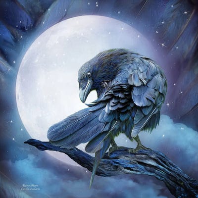 Raven Moon by Carol Cavalaris framed wall art
