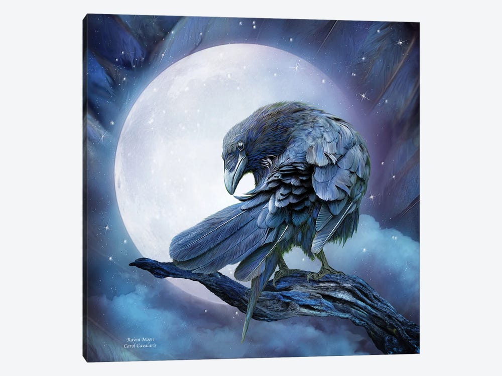 Raven Moon by Carol Cavalaris 1-piece Canvas Artwork
