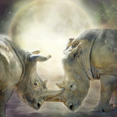 Rhino Love by Carol Cavalaris art print