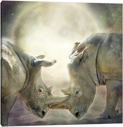 Rhino Love Canvas Art Print - Carol Cavalaris