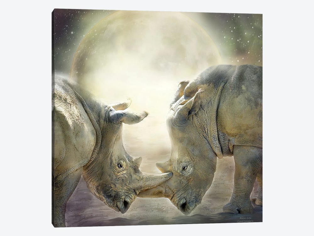 Rhino Love by Carol Cavalaris 1-piece Art Print