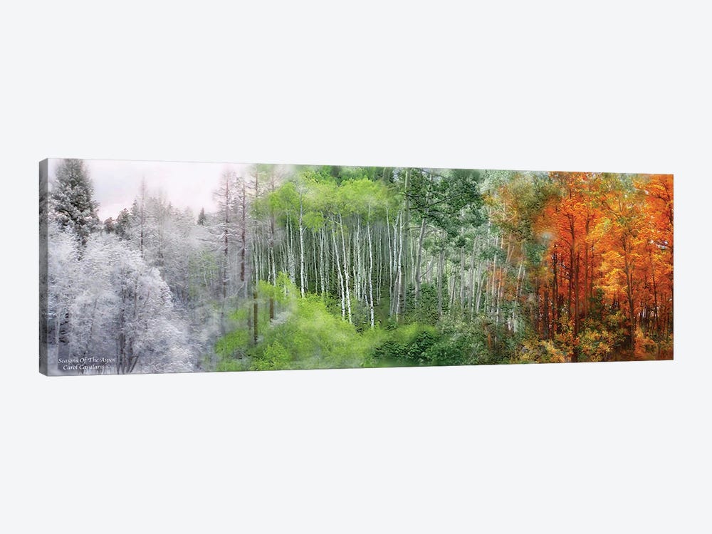 Seasons Of The Aspen 1-piece Canvas Art