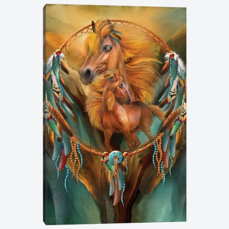 Stallion Dreams Canvas Print #CAV36} by Carol Cavalaris Canvas Wall Art