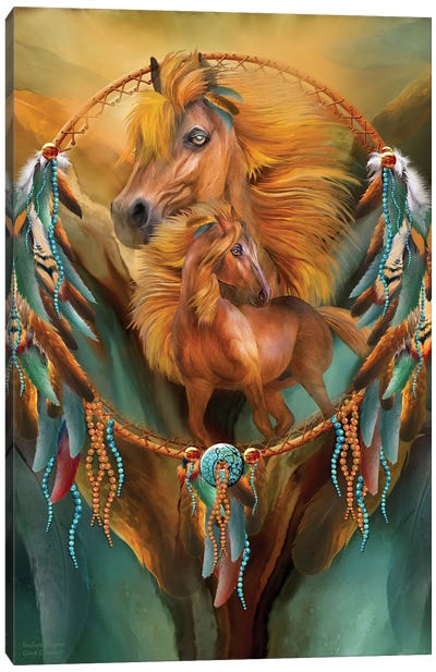 Stallion Dreams Canvas Art Print - Feather Art