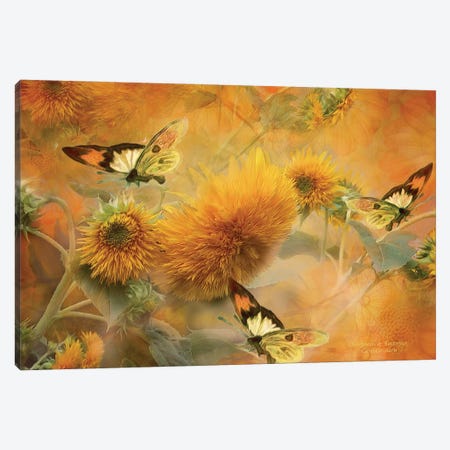Sunflowers & Butterflies Canvas Print #CAV38} by Carol Cavalaris Canvas Print