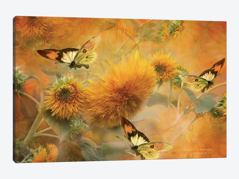 Sunflowers & Butterflies by Carol Cavalaris 1-piece Art Print