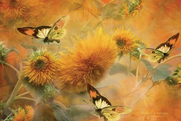 Fine Art Print: Sunflowers & Butterflies by Carol Cavalaris