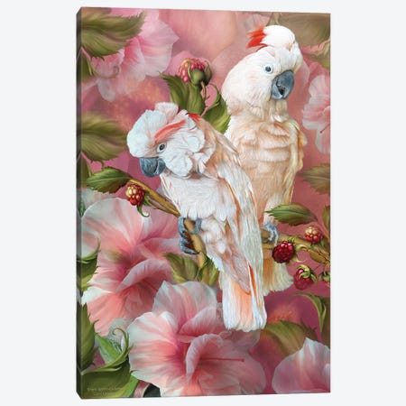 Tropic Spirits - Cockatoo Canvas Print #CAV40} by Carol Cavalaris Canvas Artwork