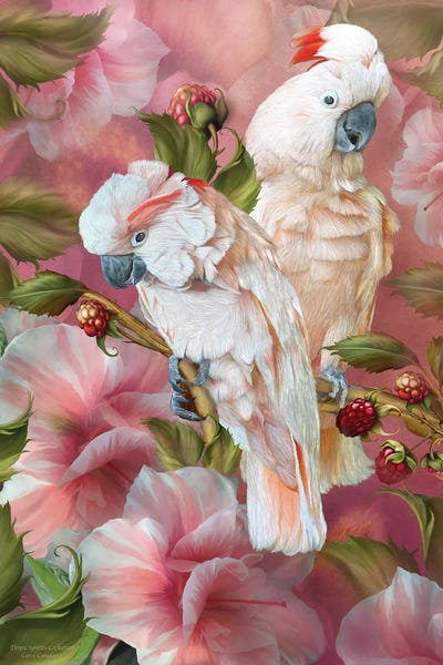 Hibiscuses: Tropic Spirits - Cockatoo by Carol Cavalaris