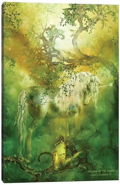 Unicorn Of Forest Canvas Art Print - Carol Cavalaris