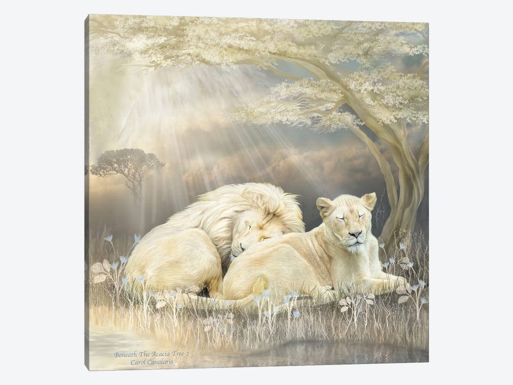 White Lion by Carol Cavalaris 1-piece Canvas Art