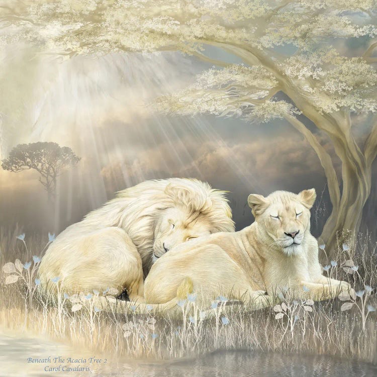 White Lion