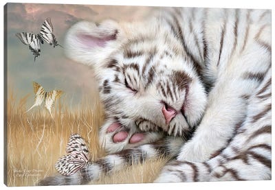 White Tiger Drams Canvas Art Print - Carol Cavalaris