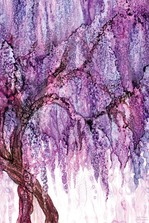 Wild Wisteria by Carol Cavalaris wall art