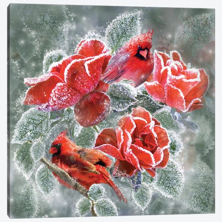 Winter Roses Cardinals Canvas Print #CAV50} by Carol Cavalaris Art Print