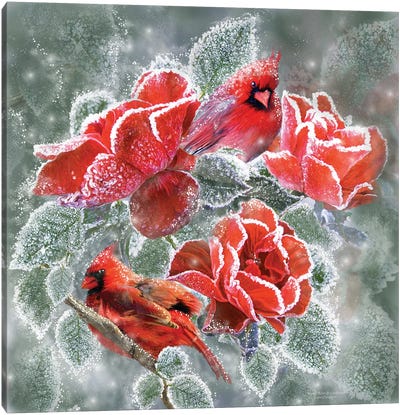 Winter Roses Cardinals Canvas Art Print - Carol Cavalaris