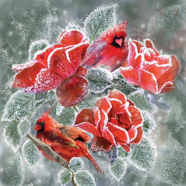 Fine Art Print: Winter Roses Cardinals by Carol Cavalaris