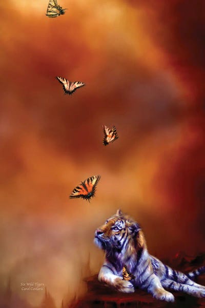 Six Wild Tigers by Carol Cavalaris framed wall art