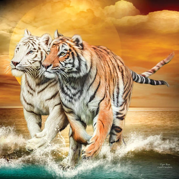 Tiger Run