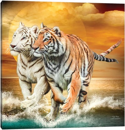 Tiger Run Canvas Art Print - Carol Cavalaris