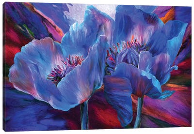 Blue Poppies On Red Canvas Art Print - Carol Cavalaris