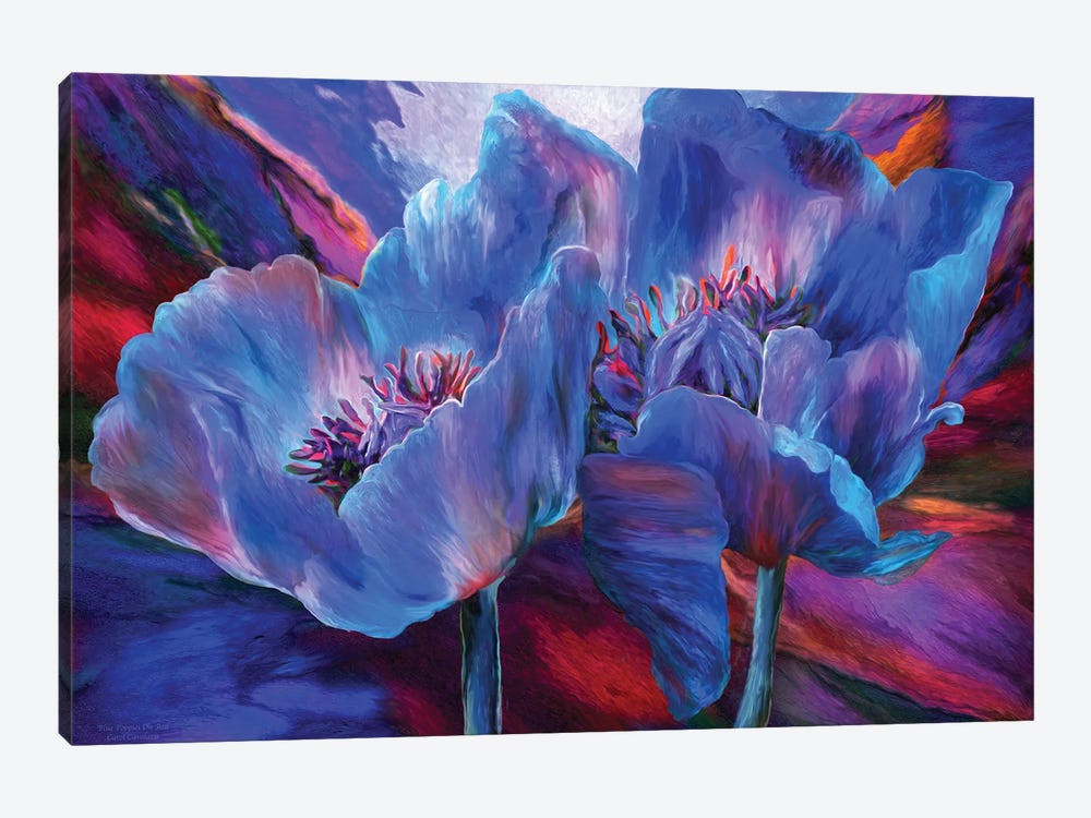 Blue Poppies On Red by Carol Cavalaris 1-piece Canvas Art