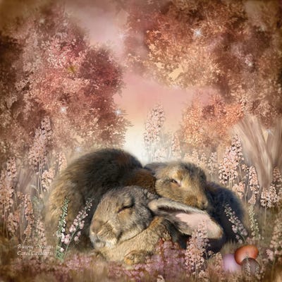 Bunny Dreams by Carol Cavalaris framed wall art