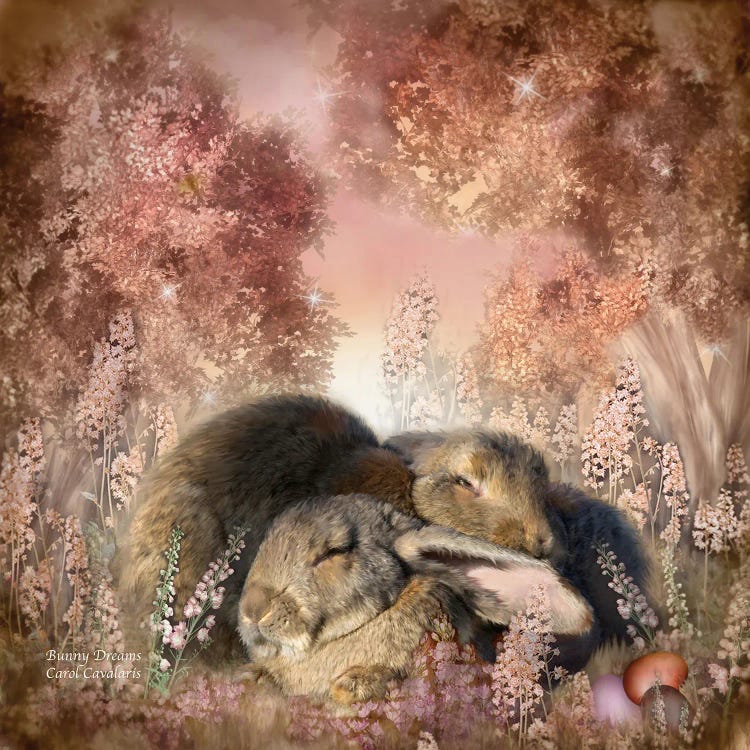 Bunny Dreams by Carol Cavalaris wall art