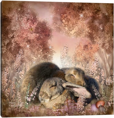Bunny Dreams Canvas Art Print - Carol Cavalaris