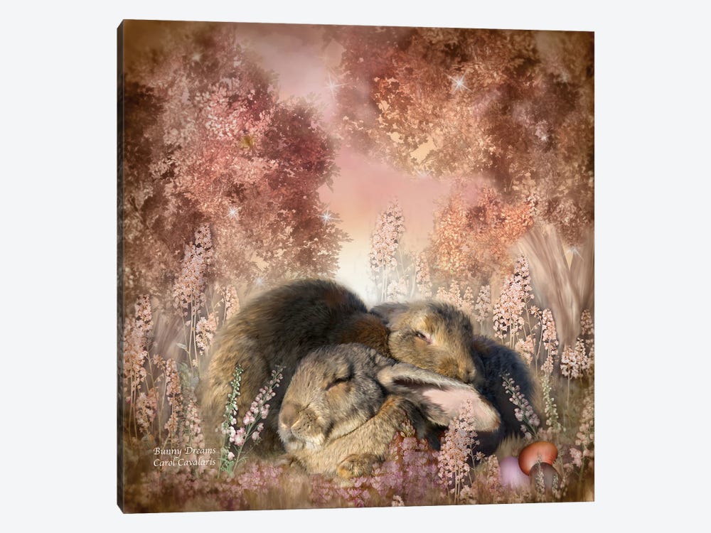 Bunny Dreams by Carol Cavalaris 1-piece Art Print